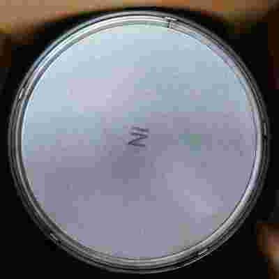 acquistare Mass Production High Temperature Stability Selective Catalytic Reduction Catalyst for Commercial Vehicle Aftertreatment fabbricazione online