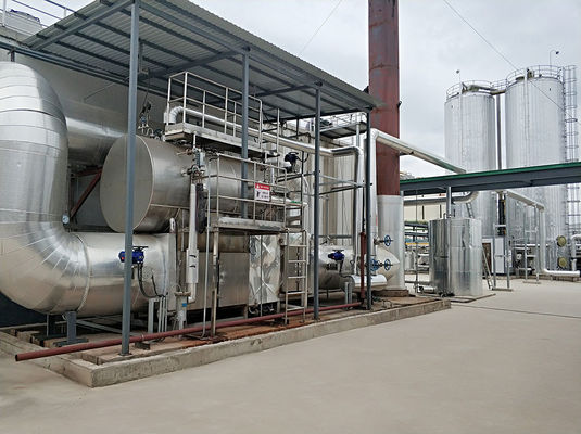 comprare Desolforazione di Boiler Plant De Nox System fabbricazione online
